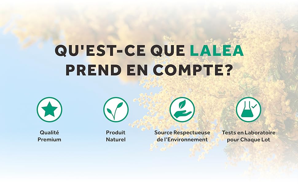 Gomme arabique bio