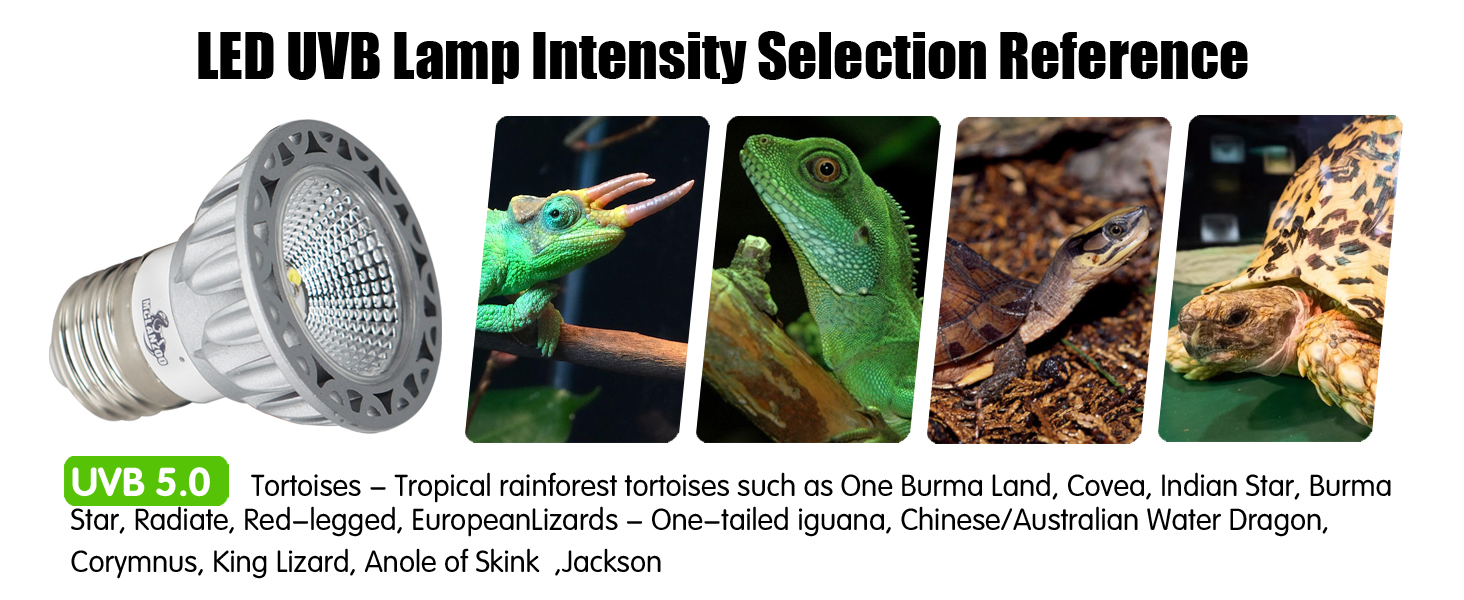 tutle uvb bulb