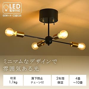 Amazon.co.jp : VENUS LIGHTING シーリングライト (洋風