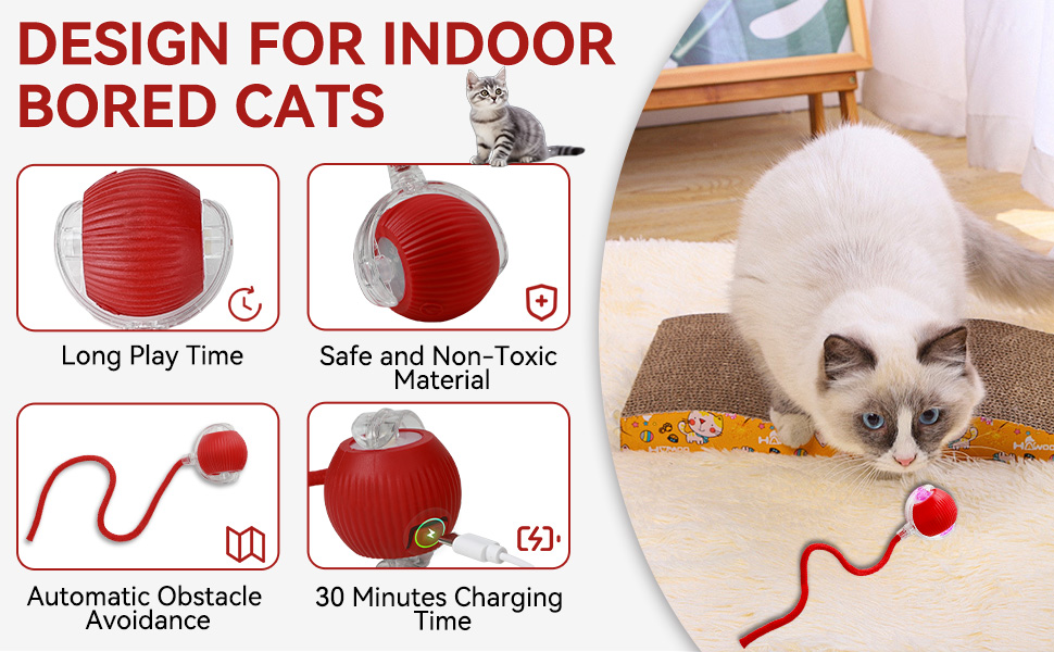 stimulating Dogs Toy