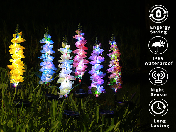 ❣️SOLAR. RGB ADAview] New Product Exploration - Solar RGB II 【English