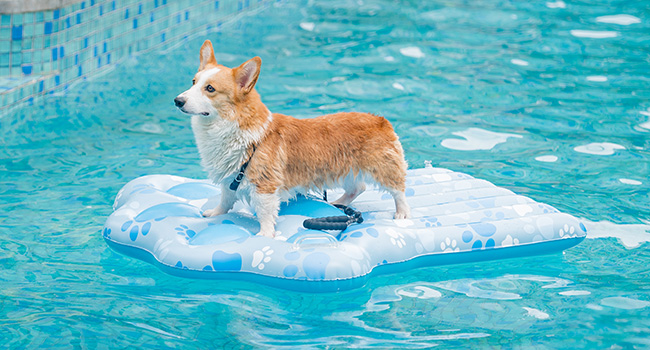 Large manufacture image 5