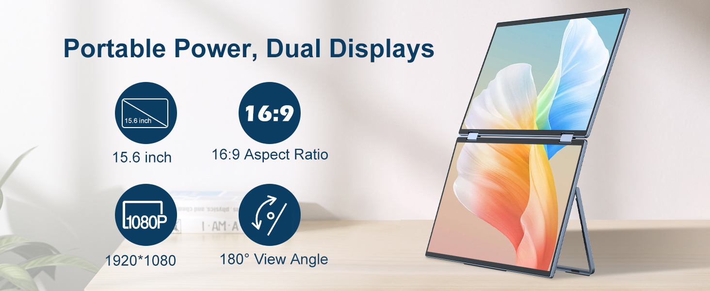 Large Display Dual Monitor