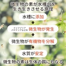 Amazon 微生物の素 メダカの餌 針子 稚魚 金魚 O O 餌 通販 Amazon 微生物の素 メダカの餌 針子 稚魚 金魚 O O 餌 通販