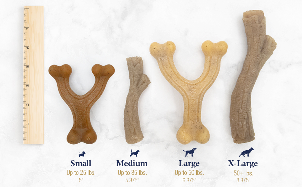 Nylabone Gourmet Style Strong Chew Wishbone Dog Chew Toy