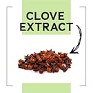 ingredientes trastes