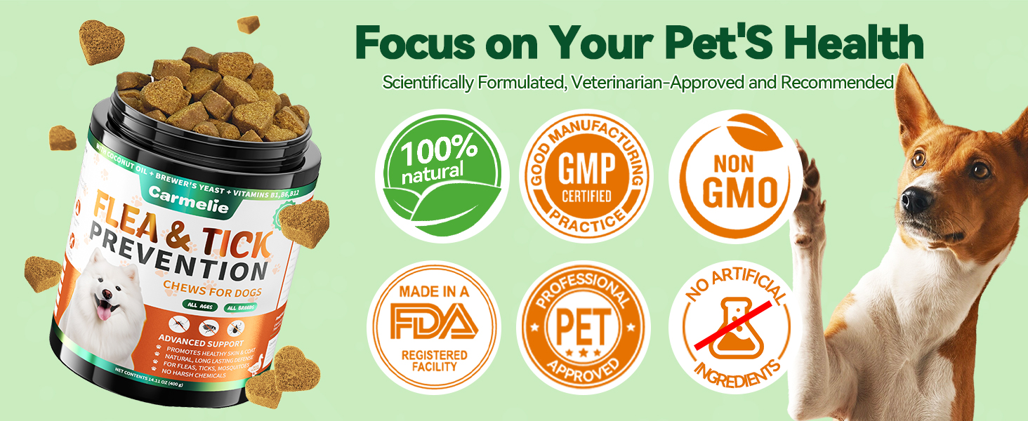 dog flea medicine