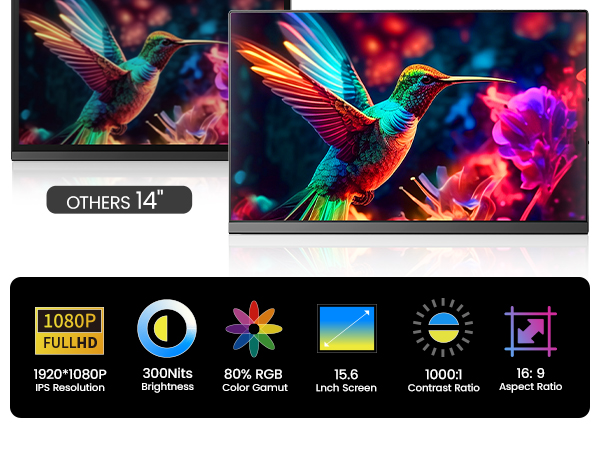 laptop monitor extender