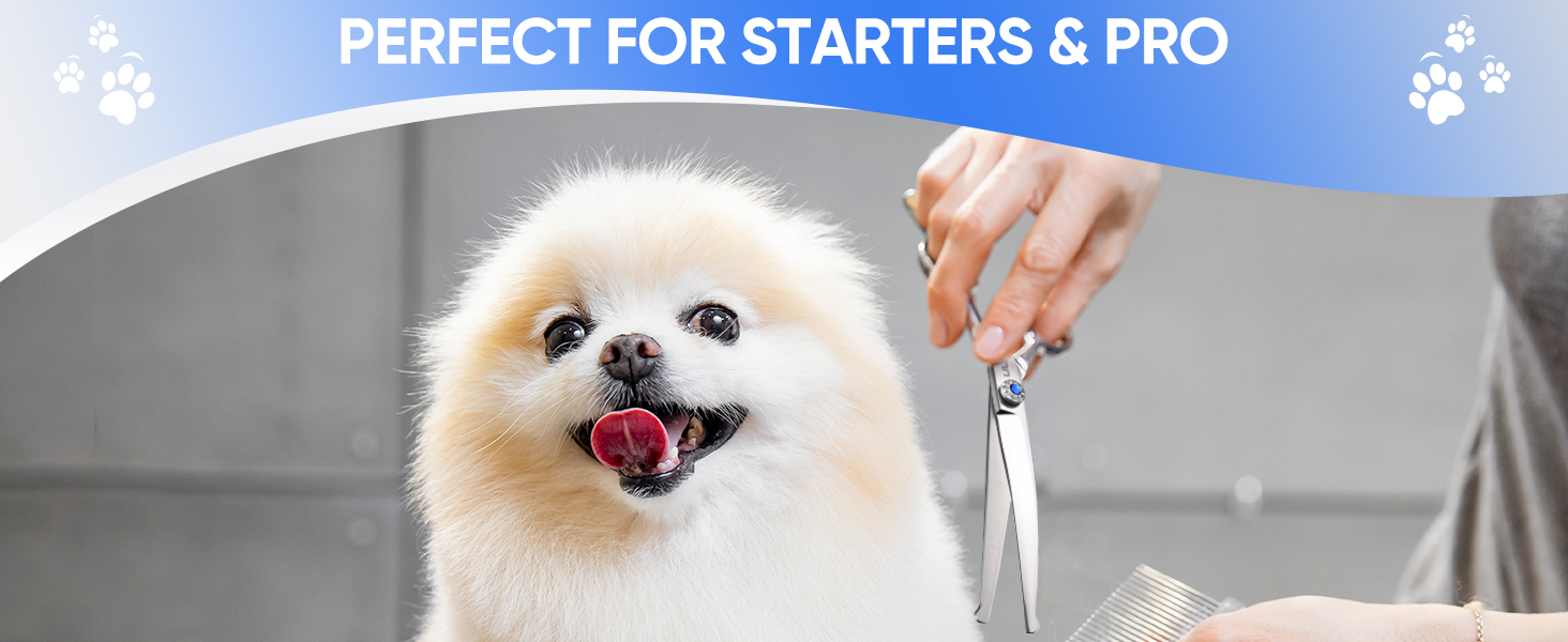 pet grooming scissors