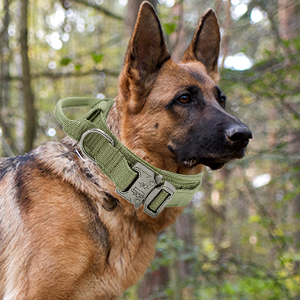Tactical Dog Collar