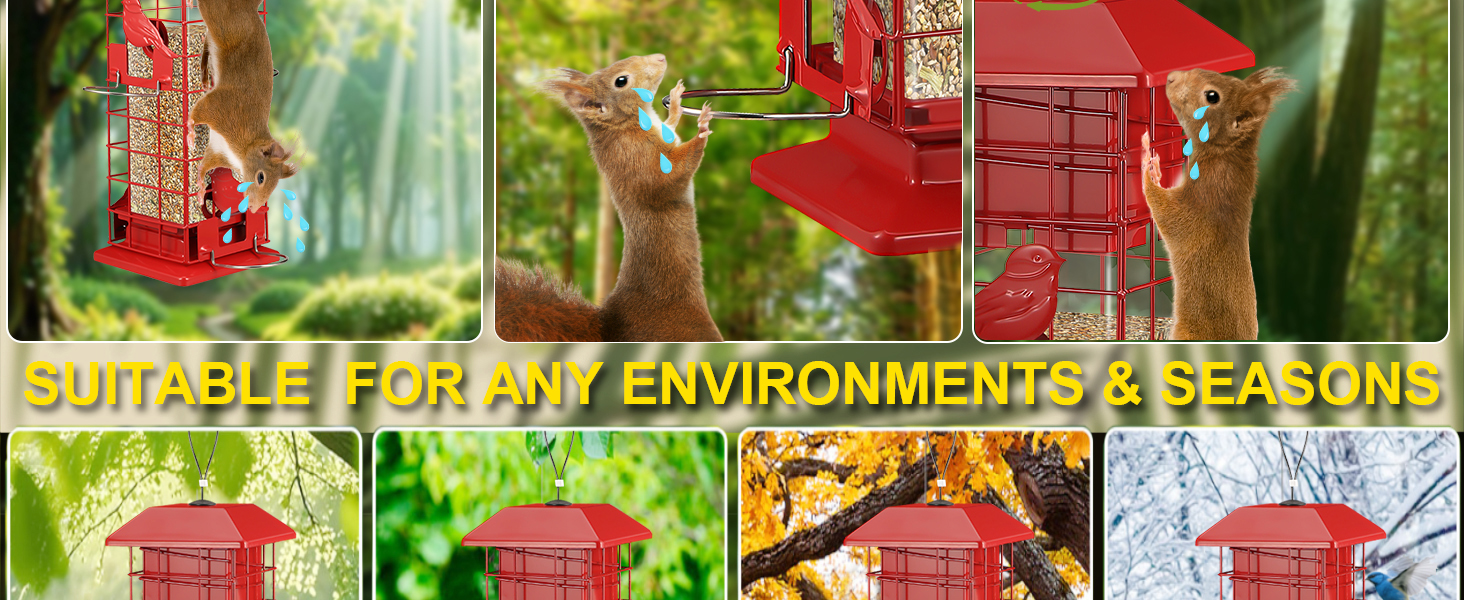 bird feeders for outdoors squirrel proof