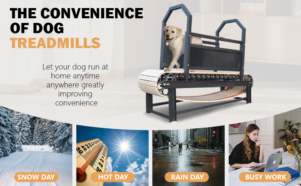 Dog Treadmill for Medium/Large Dogs Sturdy Carbon Steel