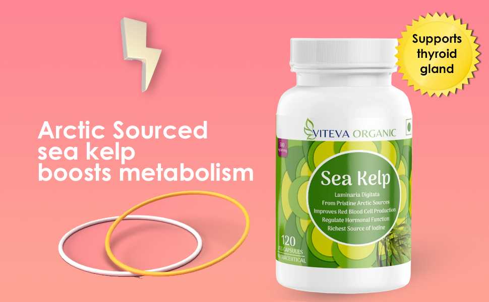 Viteva Oganic 100 Natural Sea Kelp Supplement Capsules From Pristine