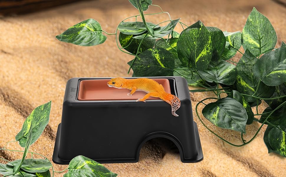 S-ReptileHideBox.PT01