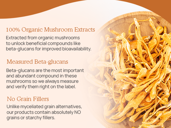 Cordyceps-M