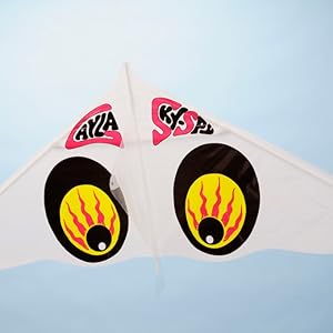 【超希少】新品未開封　ポケモンカイト　ゲイラカイト　Gayla アメリカ製 Amazon.co.jp: ゲイラカイトアメリカンGayla Kite風に乗って