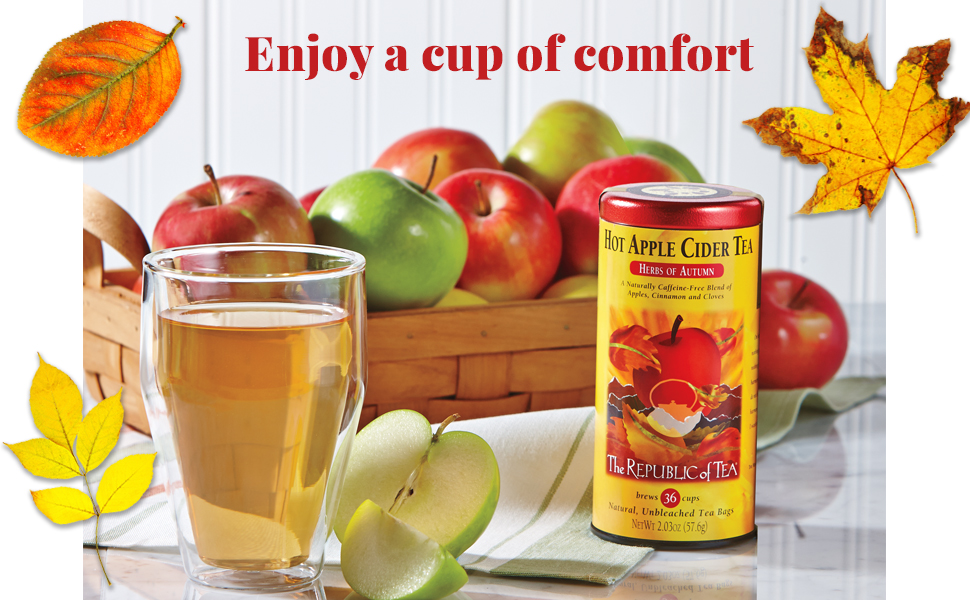 The Republic of Tea Hot Apple Cider