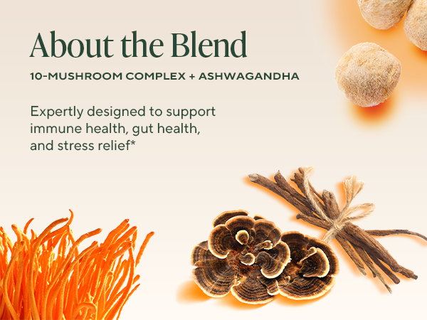 Combines ten mushrooms and ashwagandha to support immunity, gut health, and stress
