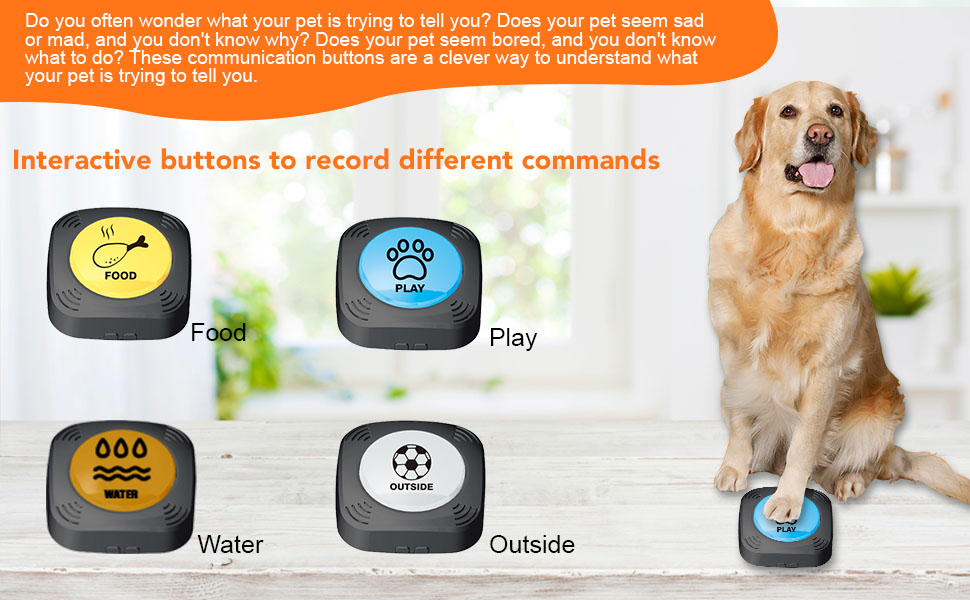 Dog Buttons for Communication Set of 4 Recordable