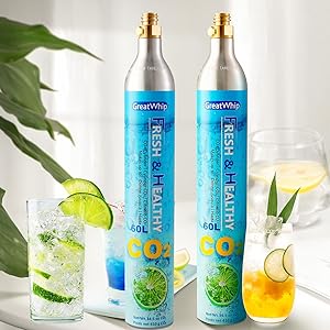   Co2 Cylinders