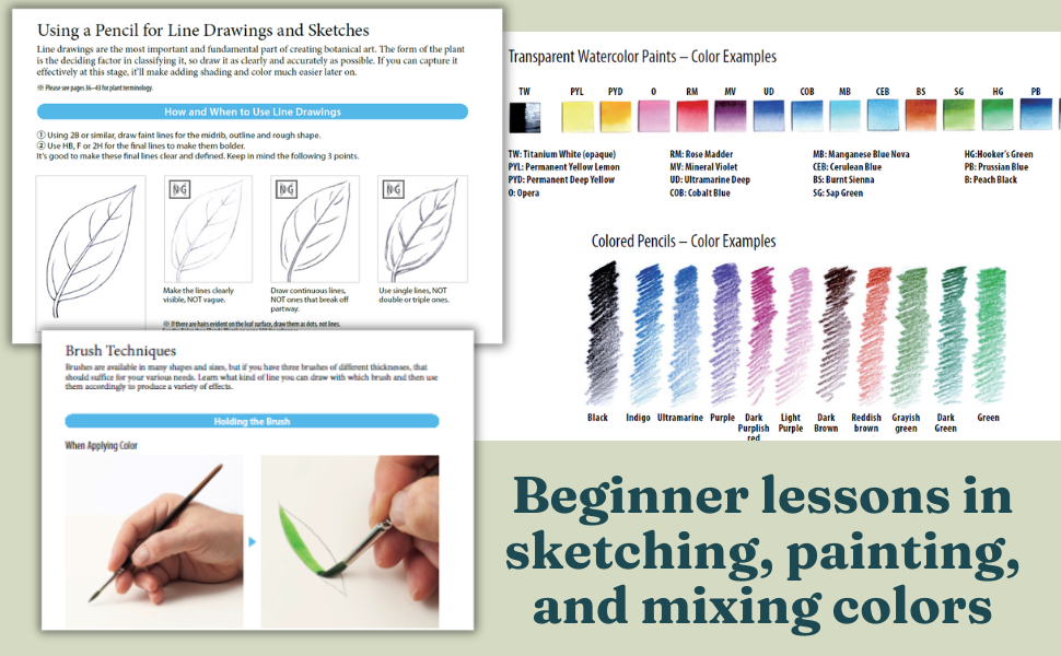 StepbyStep Guide to Botanical Drawing & Painting Create Realistic