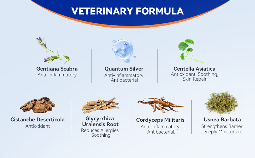 pointail hot spot spray for dogs anti itch dog spray hotspot spray for dogs dog itch relief spray