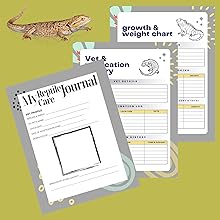 interior of book images