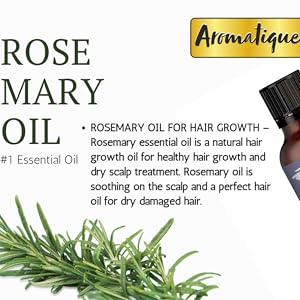Rosemary Oil