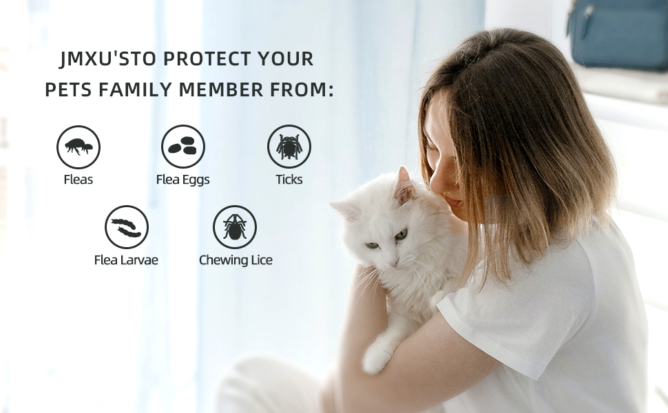 Flea and Tick Prevention for Cats, Cat Flea & Tick