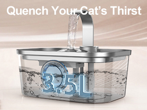 water fountain for pets