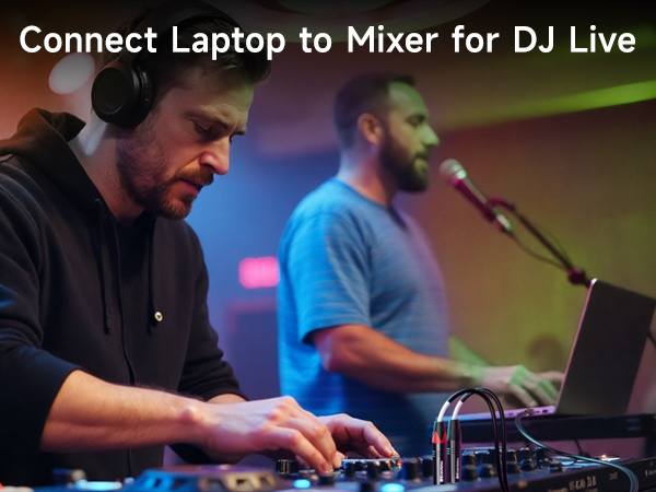 TRS to Dual 6.35mm TS Breakout Cable