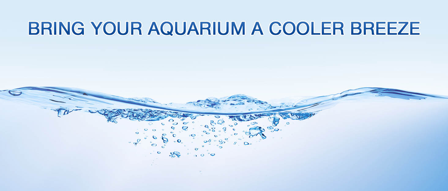 Ezcasch Aquarium Chiller