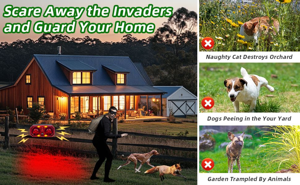scare away the invaders and guard your home