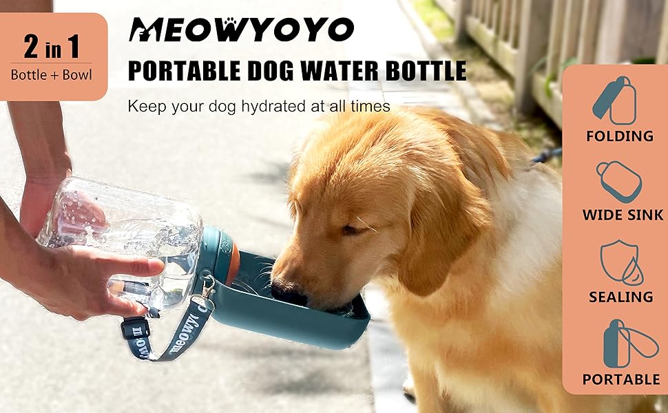 dog water bottle