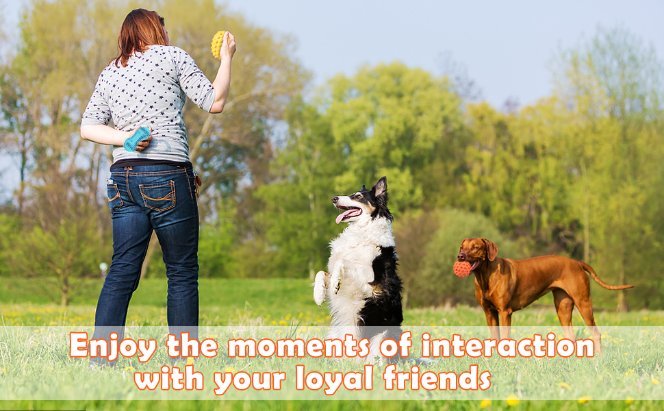 Balkwan Dog Chew Toys 3 Pack,large dog aggressive chew toy