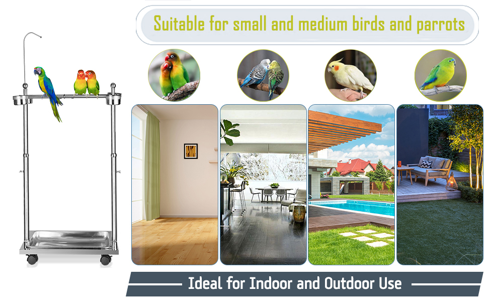 parrot stand