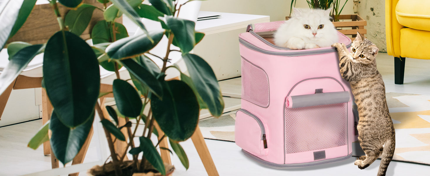 dog backpack carrier