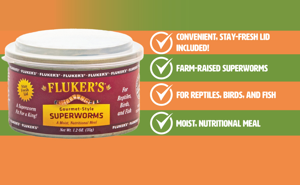 benefits or gourmet style superworms
