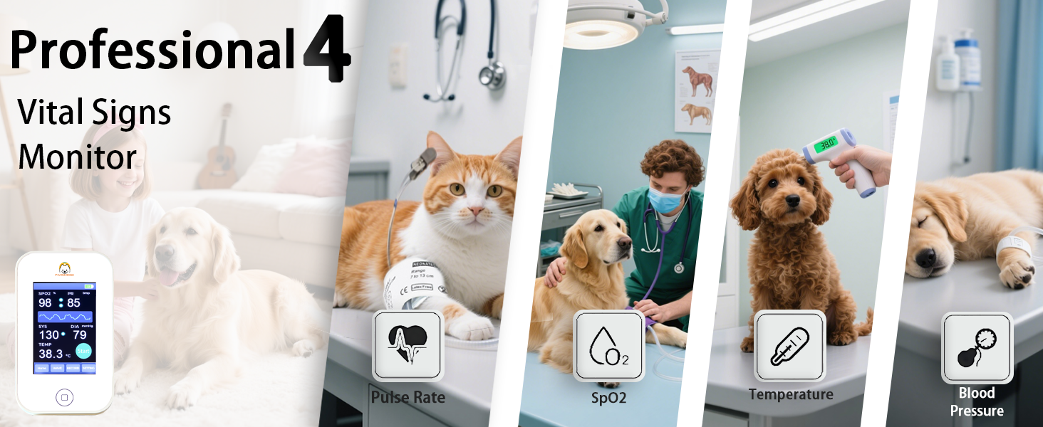 Professional 4 Vital Signs Monitor