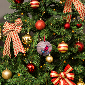 Great Additions for Christmas Tree