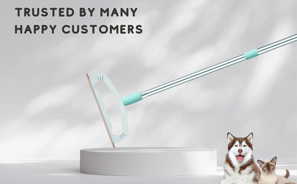 cat hair remover himoda