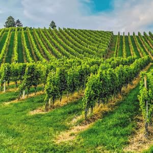 jahrelange Erfahrung resultiert in hochwertigen Produkten