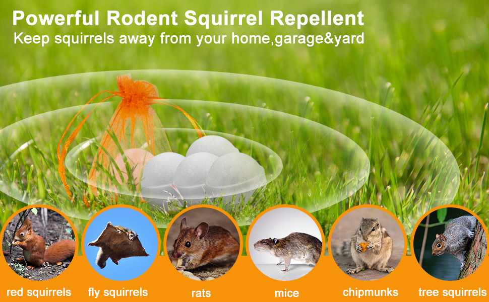5 Pack Squirrel Repellent, Large Chipmunk Repellent Squirrel Deterrent