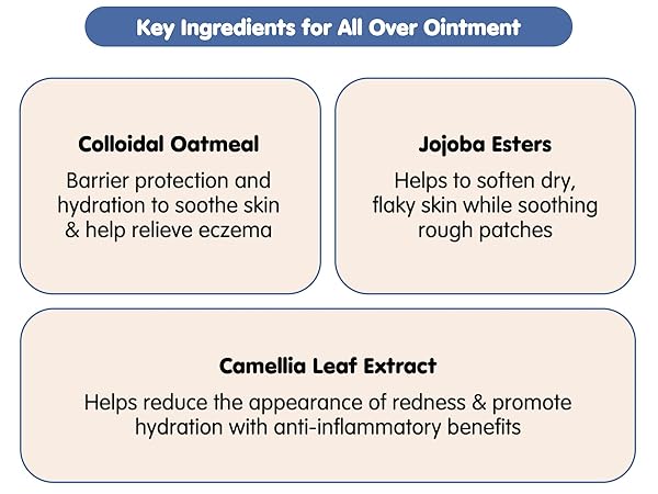 Tubby Todd's Cradle Cap + AOO Bundle