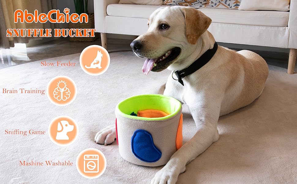 Snuffle Mat for Dogs