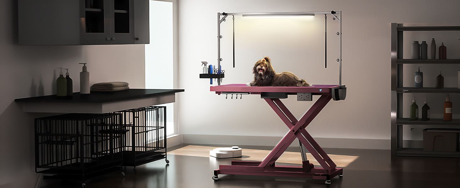 dog grooming station