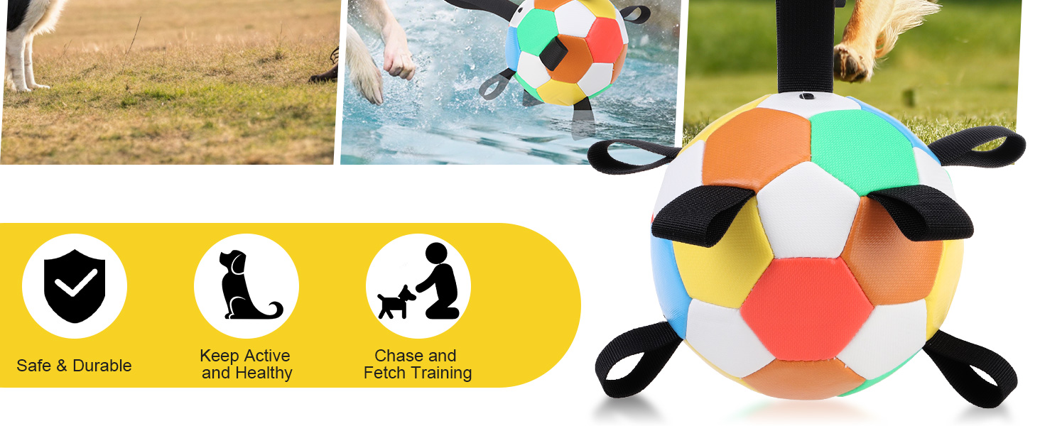 dog soccer ball