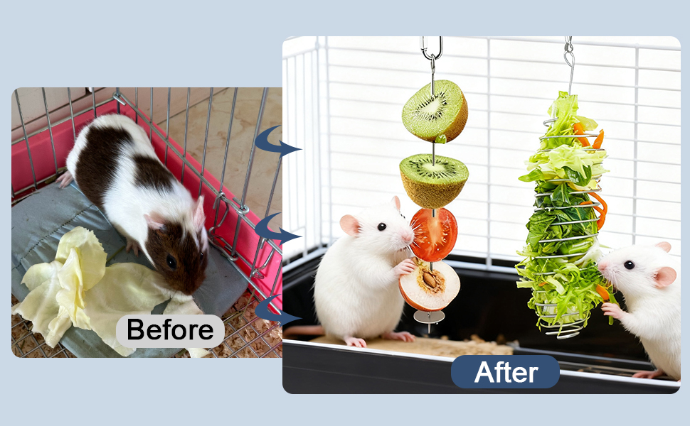 rat cage accessories