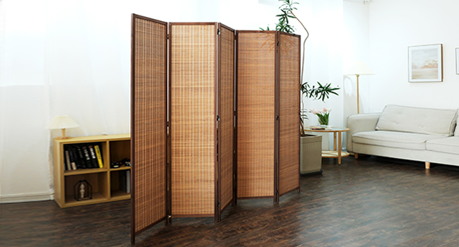 Amazon.com: Furnnylane 5 Panel Room Divider and Folding