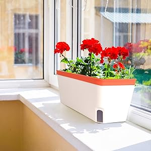 planters outdoor